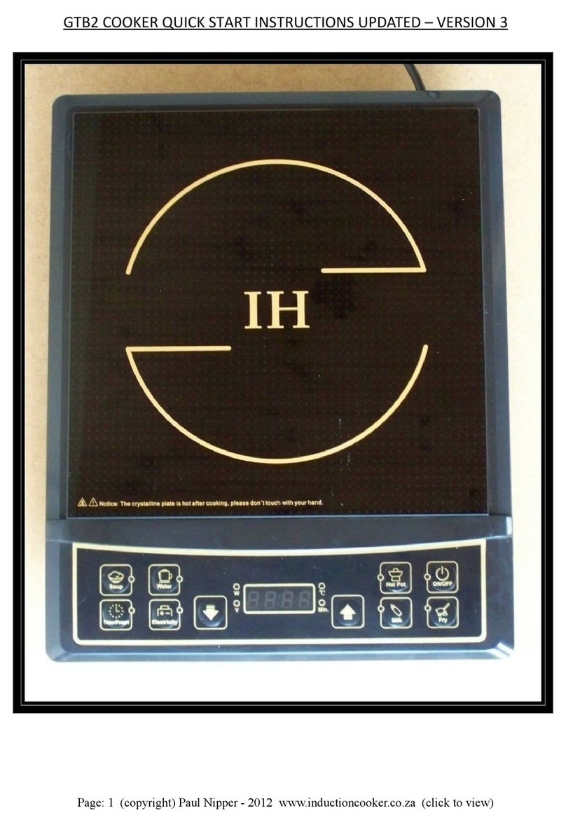 IH GTB2 Programming manual