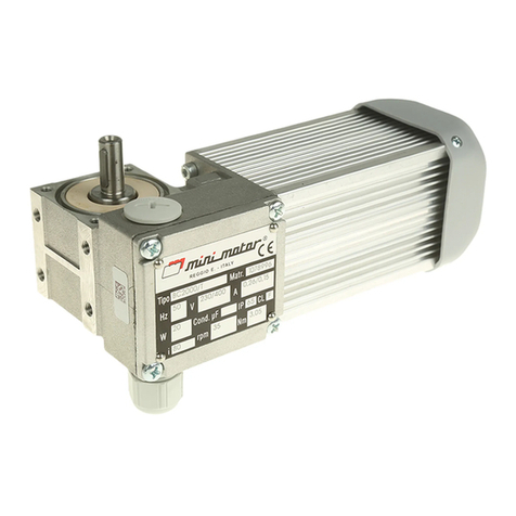 Mini Motor AM-AC Series User manual