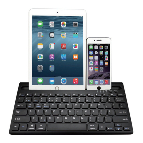 Digital Gadgets digital basics 2-in-1 air keyboard HQ quick start guide