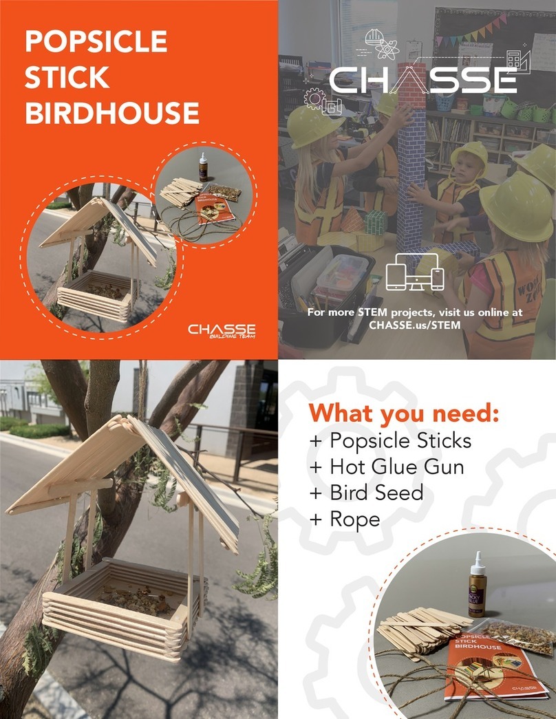 CHASSE POPSICLE STICK BIRDHOUSE instructions
