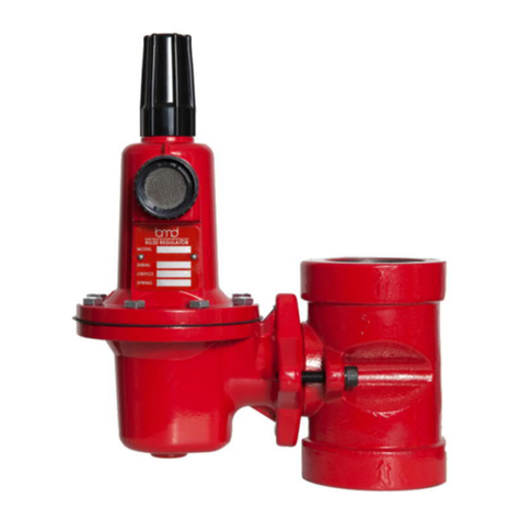 BMD RG20 Installation, operation and maintenance instructions