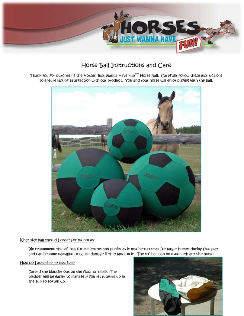 Horses Just Wanna Have Fun Horse Ball Instructions and care