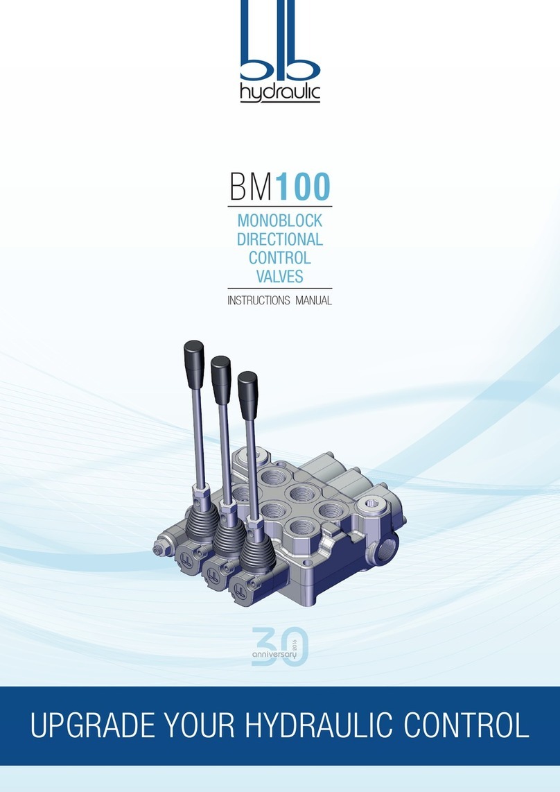 BLB hydraulic BM100/1 instruction manual
