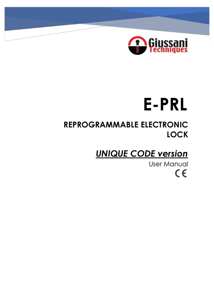 Giussani Techniques E-PRL user manual