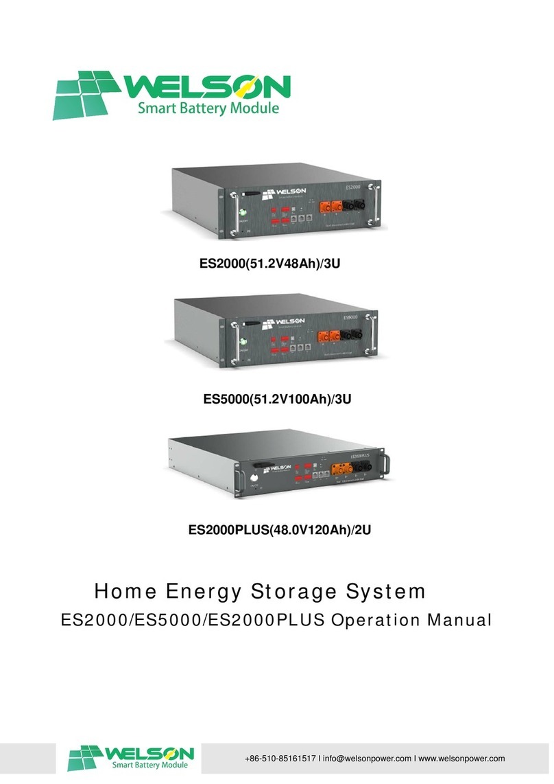 WELSON ES2000 Operation manual
