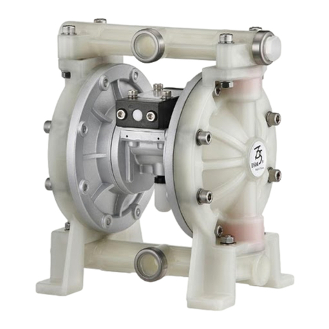 DYI SHENG DS04-P User manual