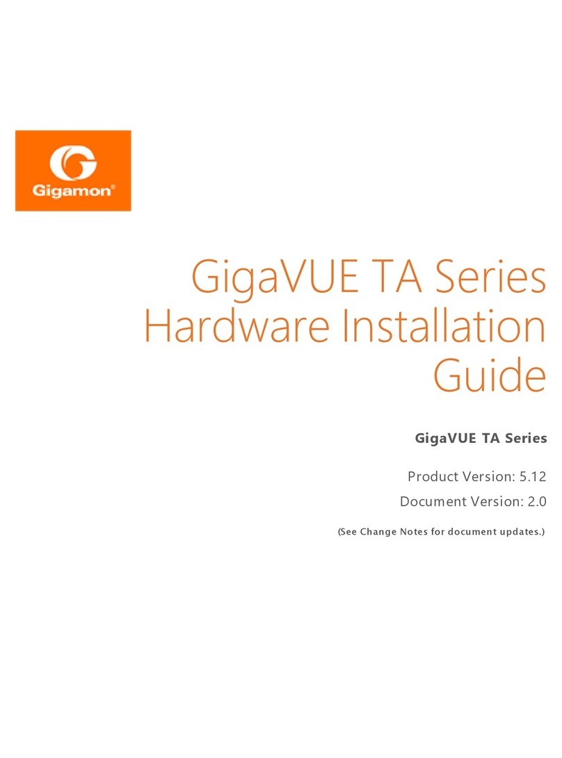 Gigamon GigaVUE TA Series Manual