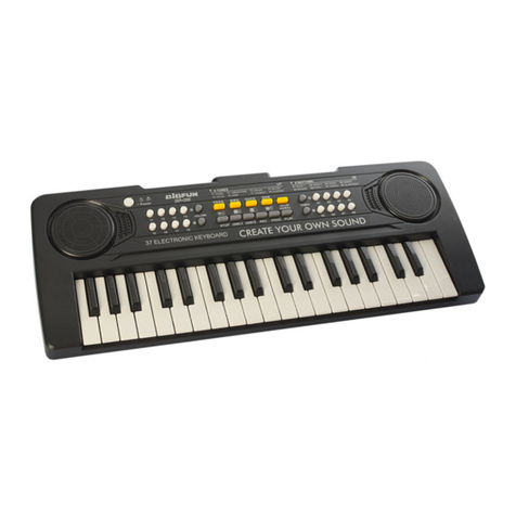BIGFUN BF-420 manual