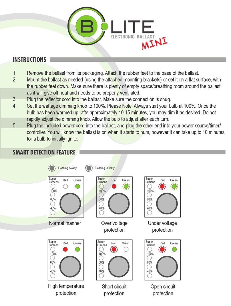DL Wholesale B-Lite mini quick start guide