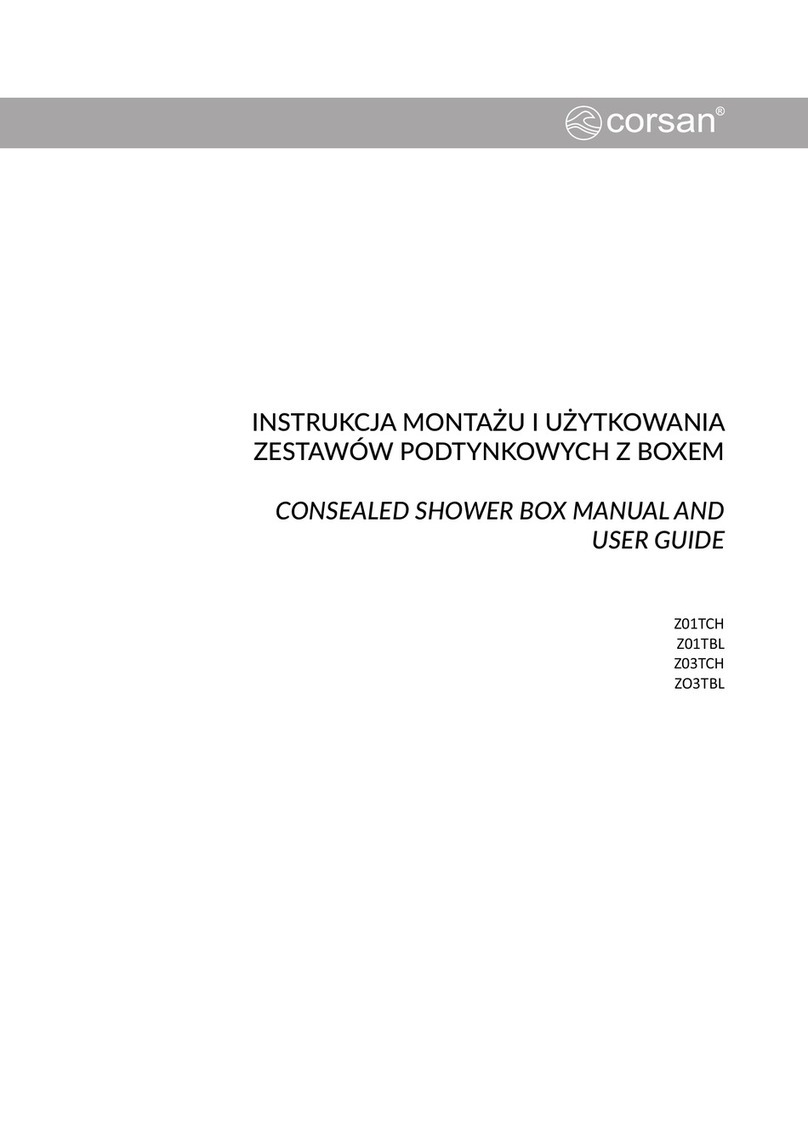 corsan Z01TCH Manual and user guide