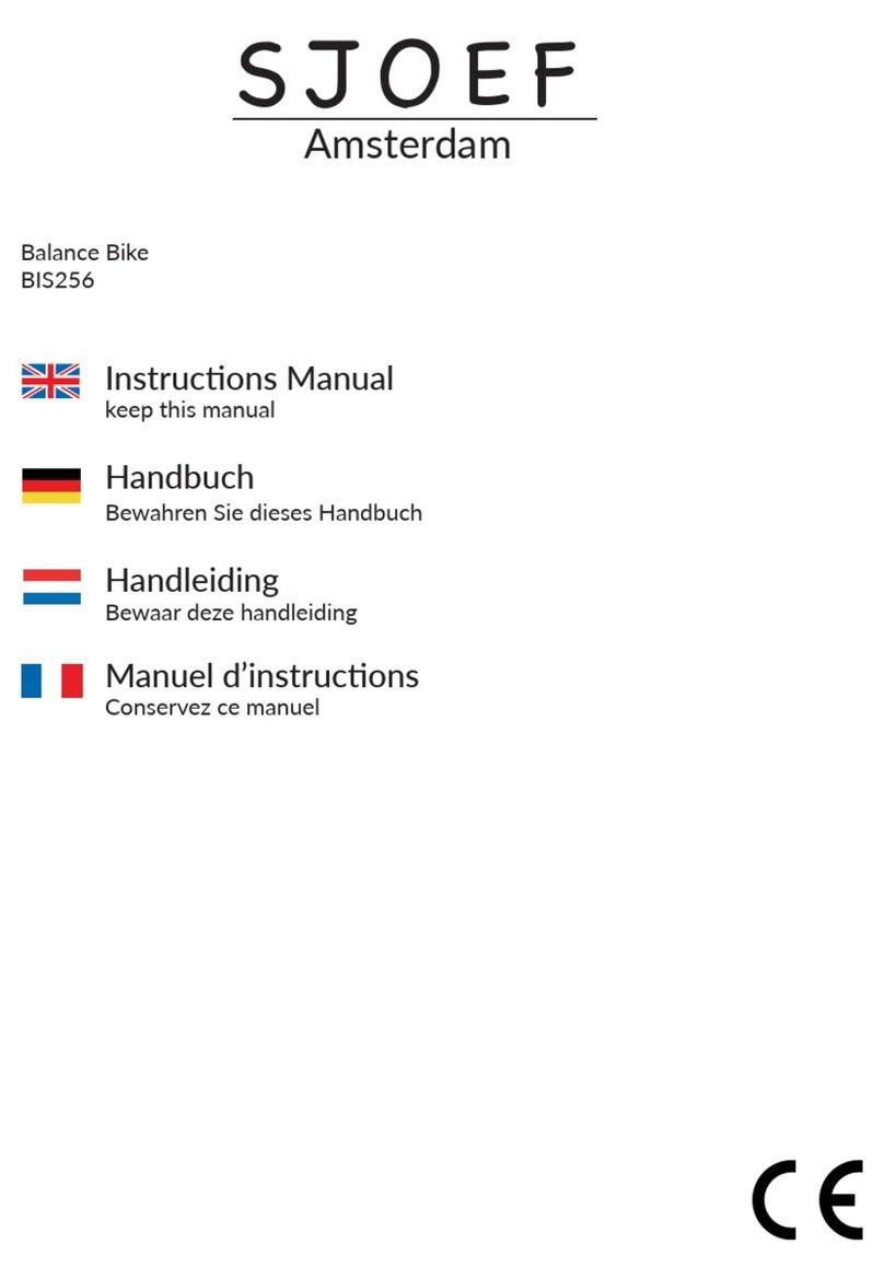SJOEF BIS256 instruction manual