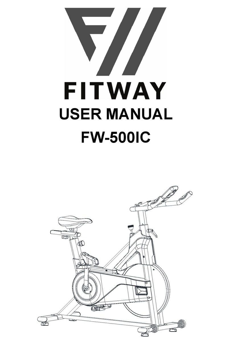 FITWAY FW-500IC user manual