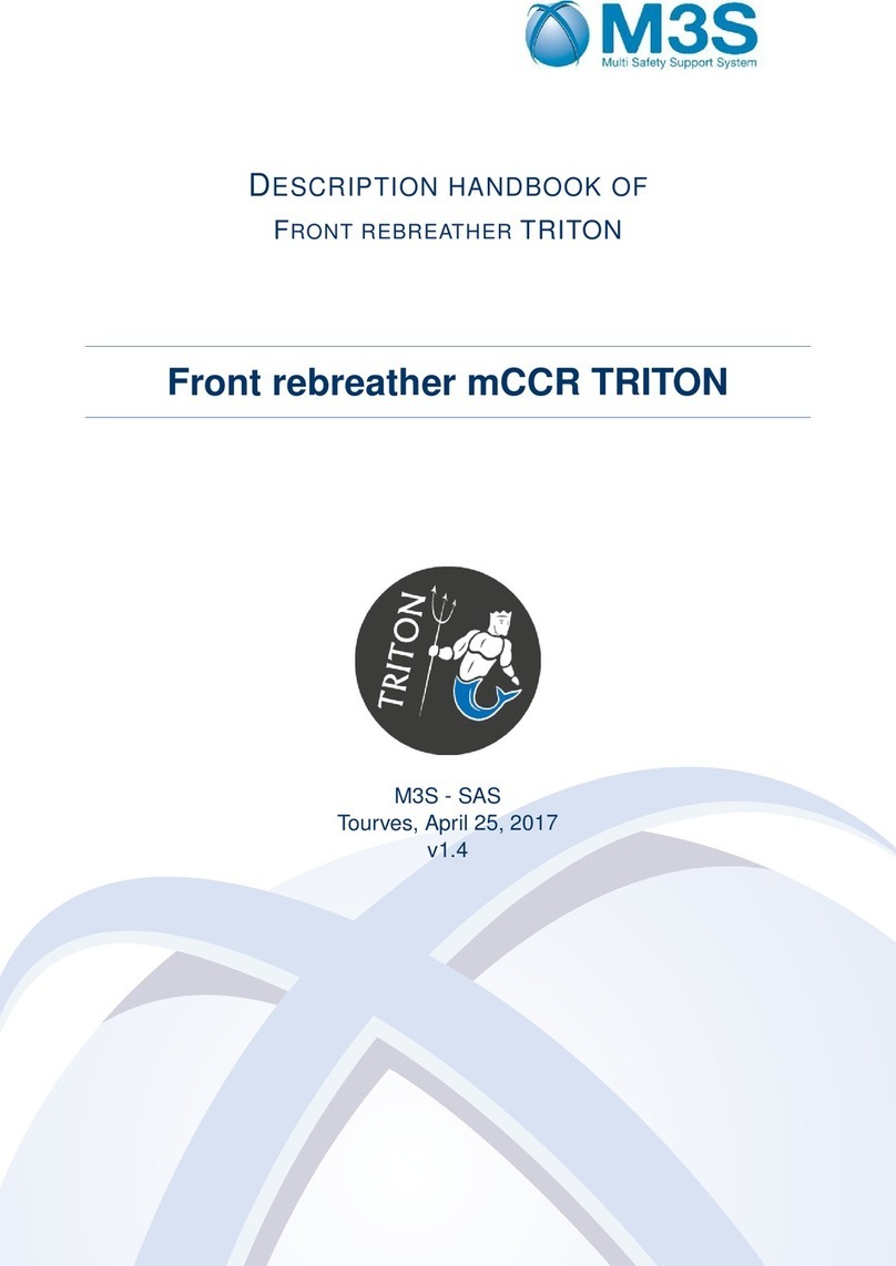 M3S Triton DESCRIPTION HANDBOOK