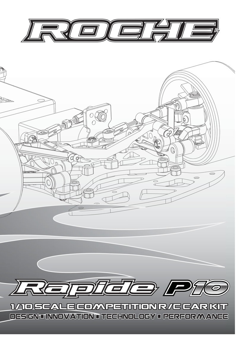 Roche Rapide P10 manual