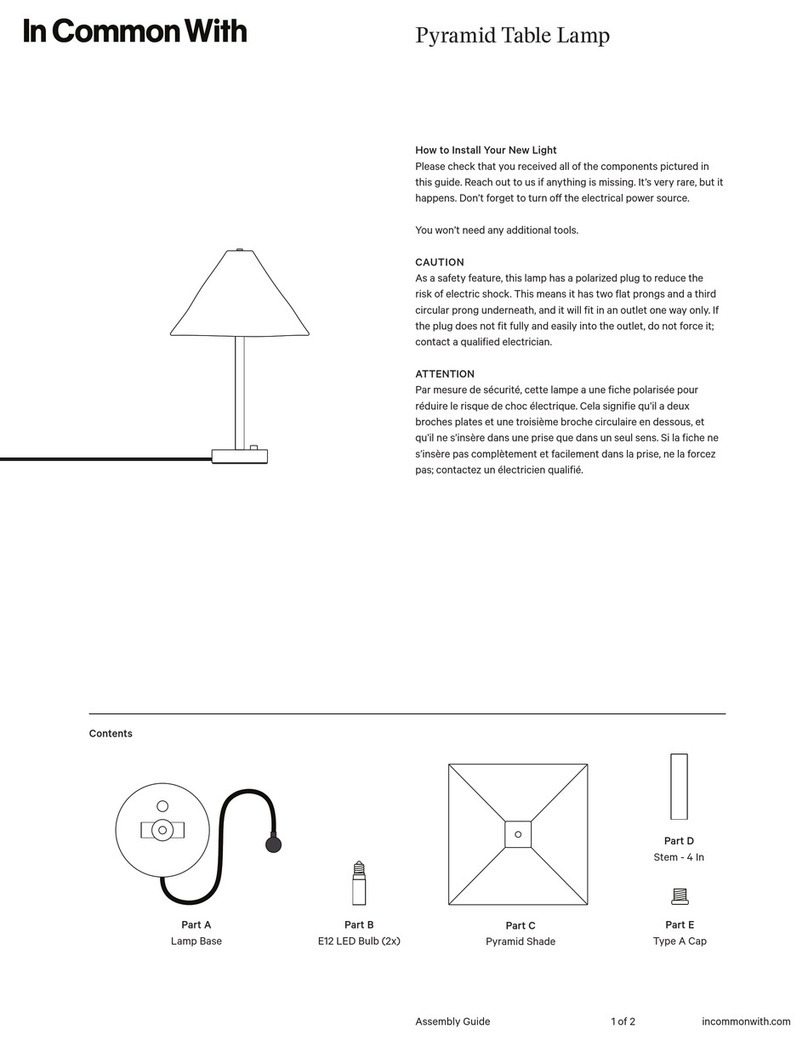 In Common With Pyramid User manual