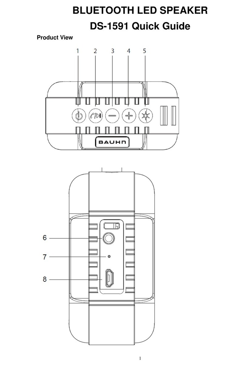 Wonders Technology DS-1591 User manual