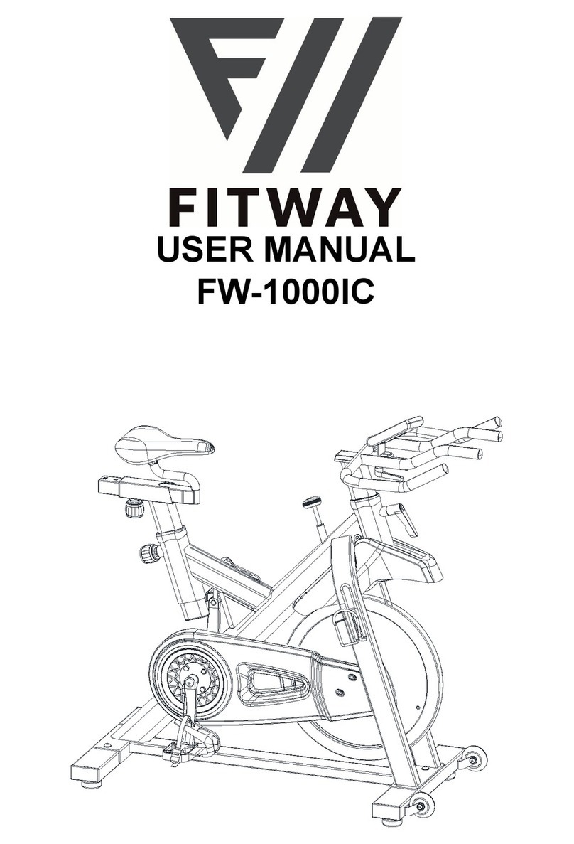 FITWAY FW-1000IC user manual