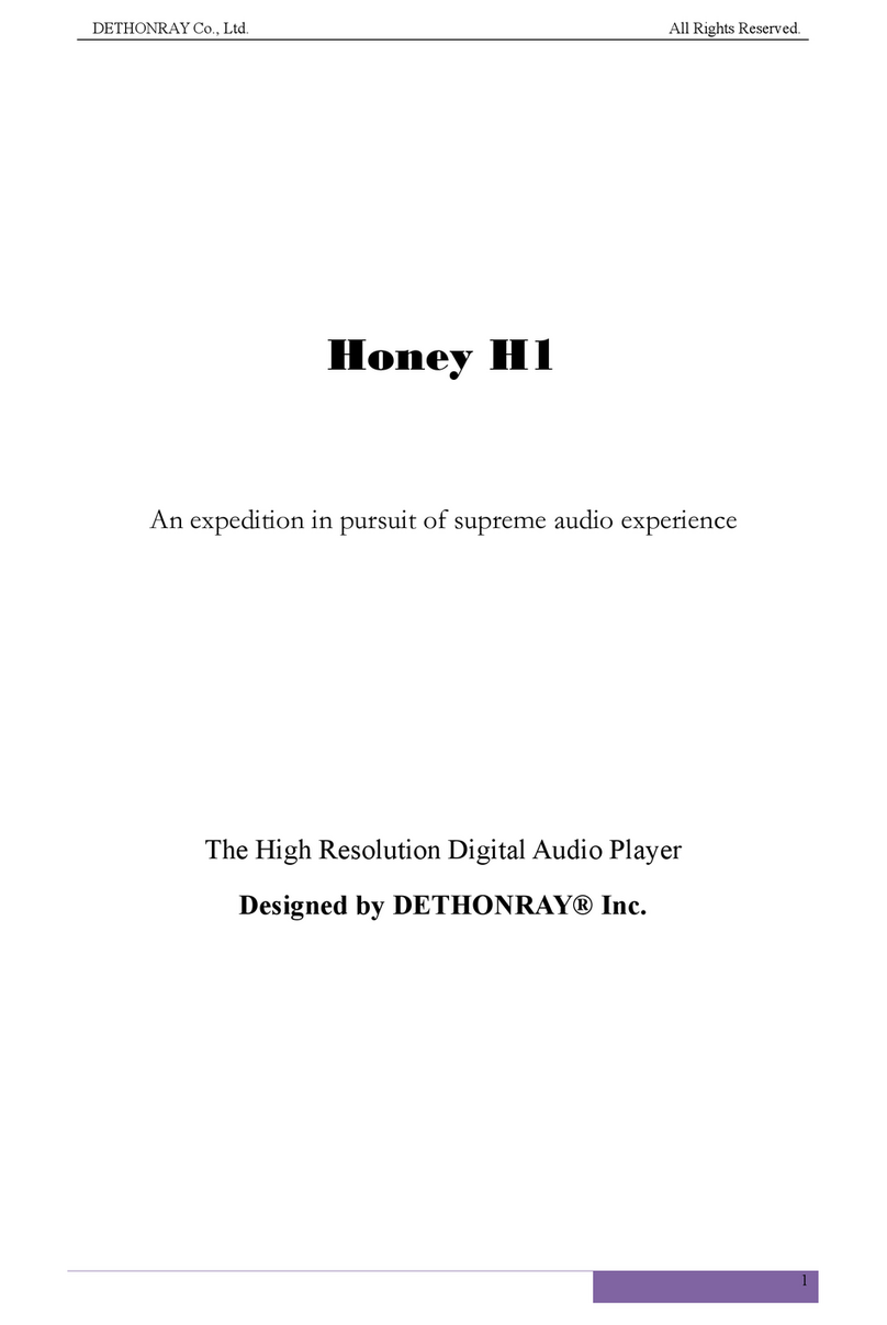 DETHONRAY Honey H1 Mounting instructions