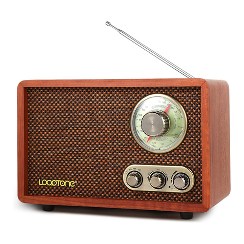 LoopTone DS-R08 instruction manual