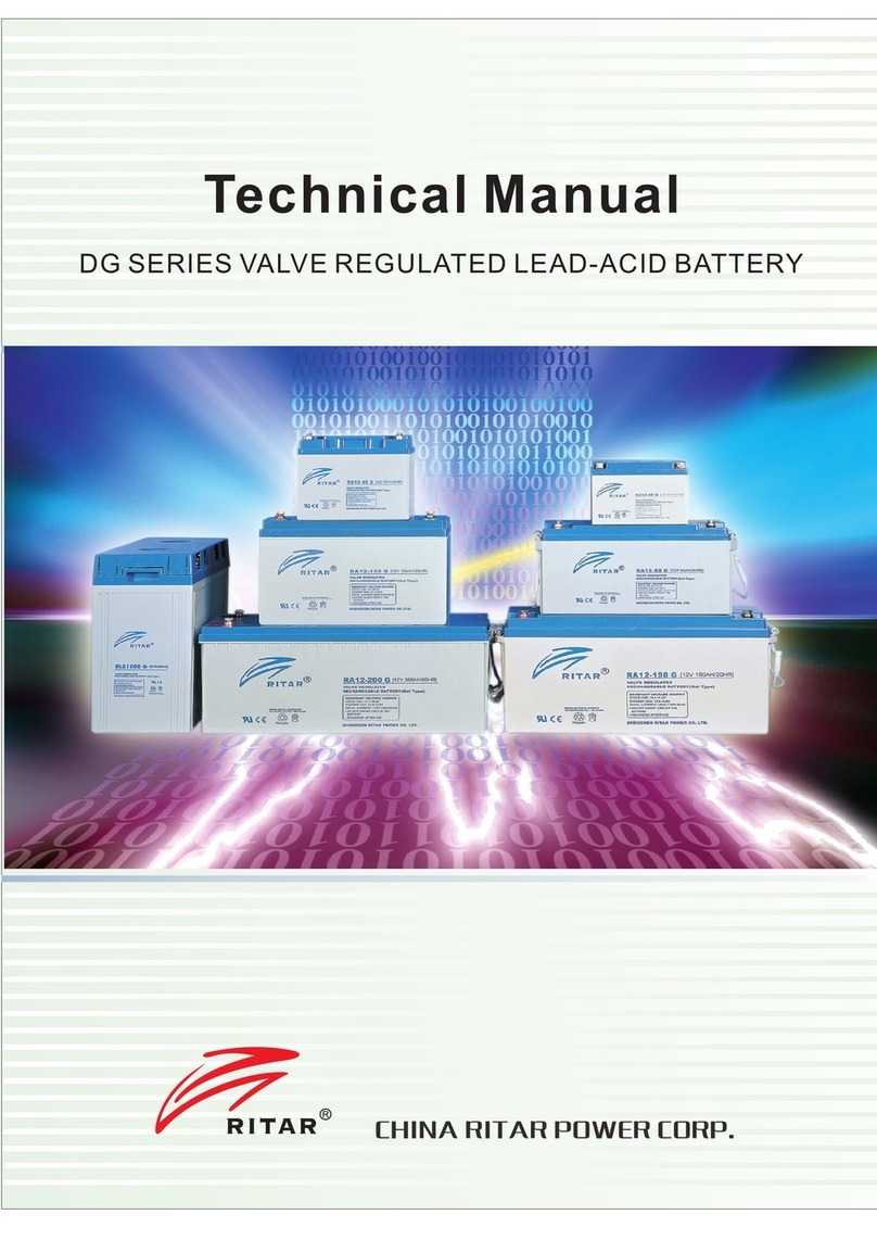 RITAR DG Series Technical manual