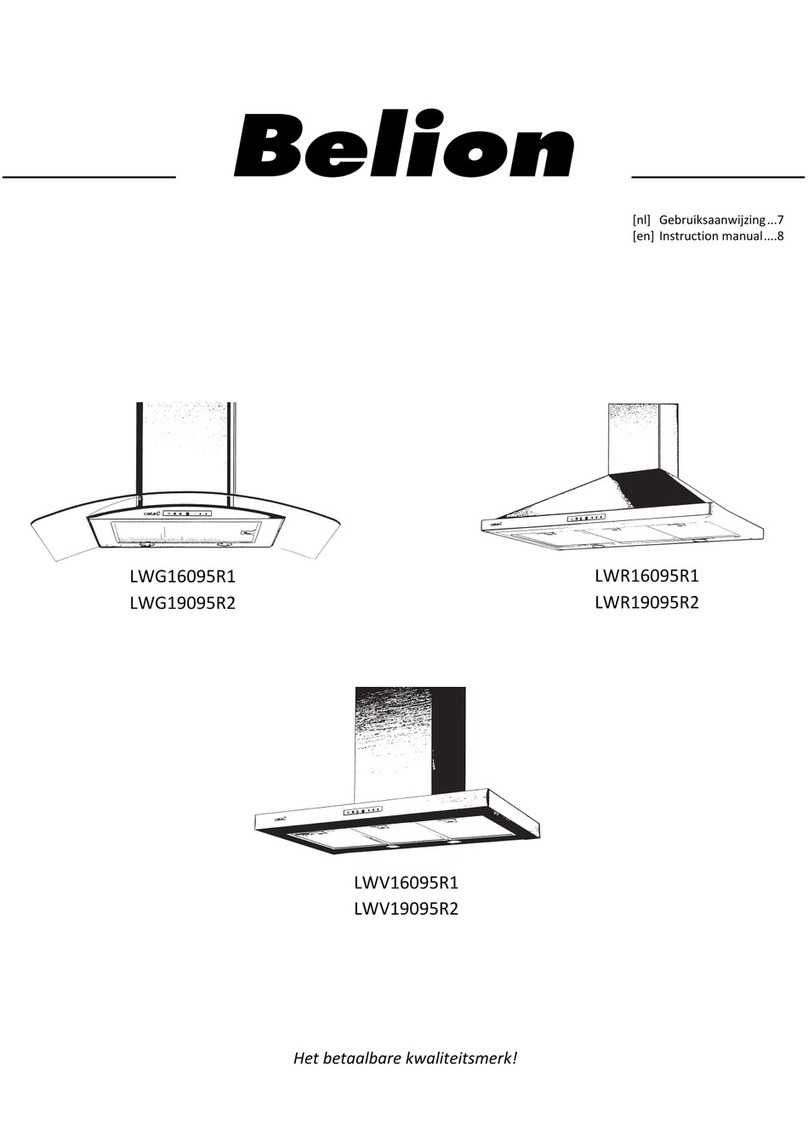 Belion LWG16095R1 instruction manual