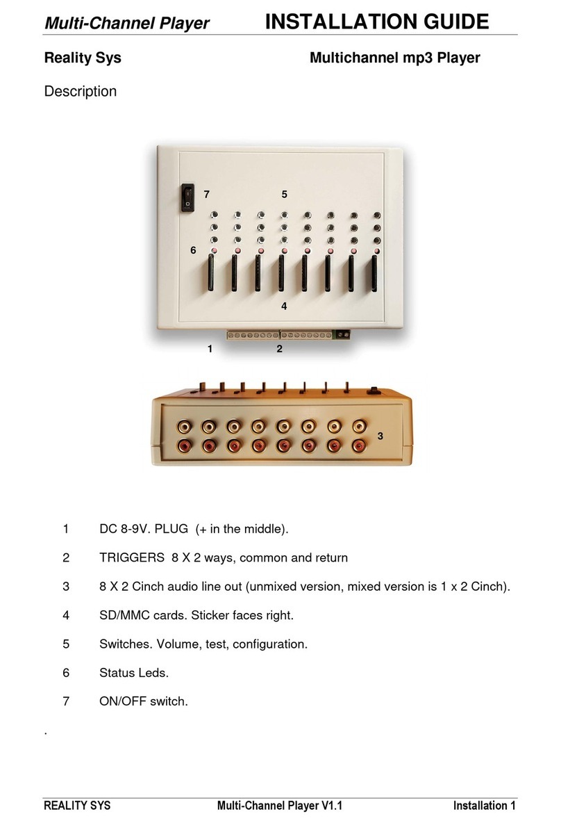 Reality Sys Multichannel Mixer Player installation guide