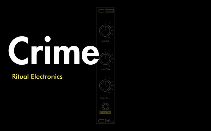 Ritual Electronics Crime manual