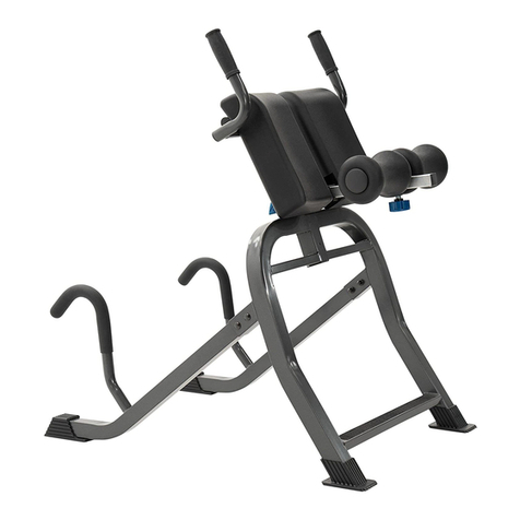 Teeter Hang Ups DEX II User manual