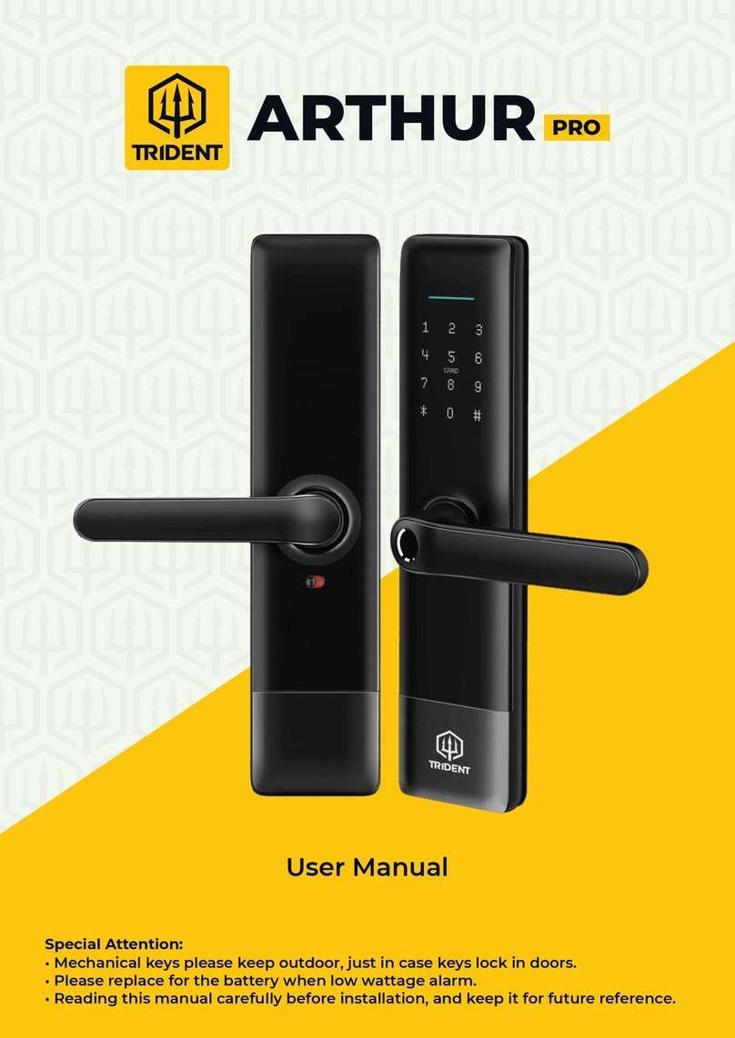 Trident ARTHUR PRO user manual