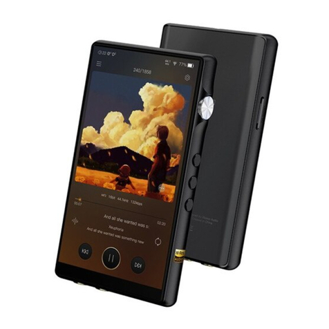 iBasso Audio DX170 User manual