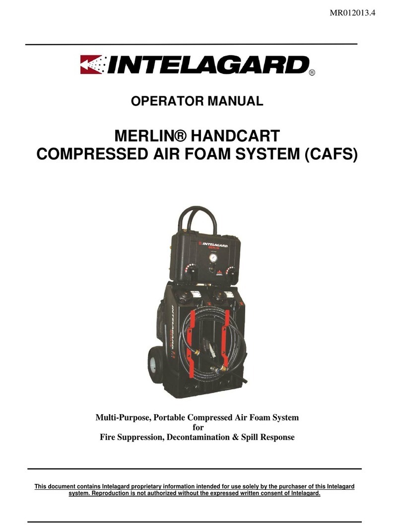 Intelagard MERLIN User manual