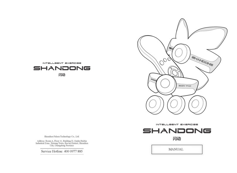 Falaen Technology Shandong X5 Series manual