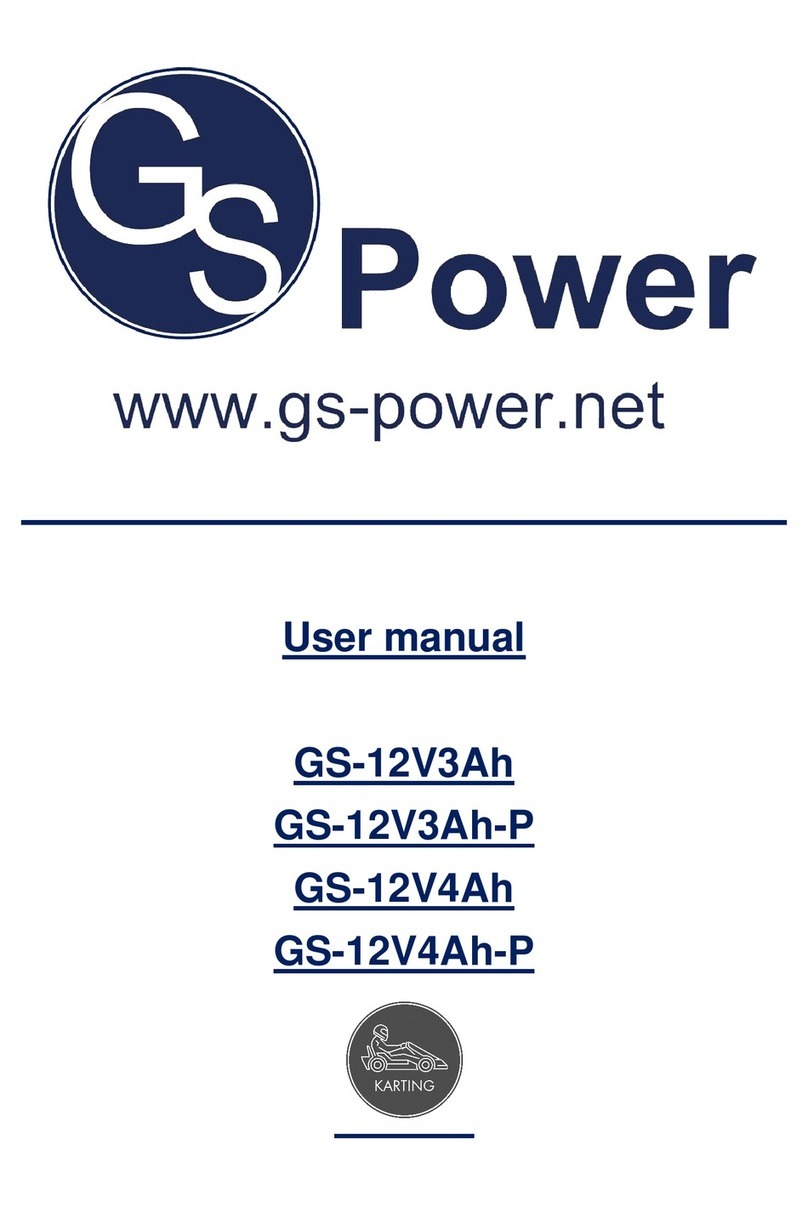 GS-POWER GS-12V3Ah user manual