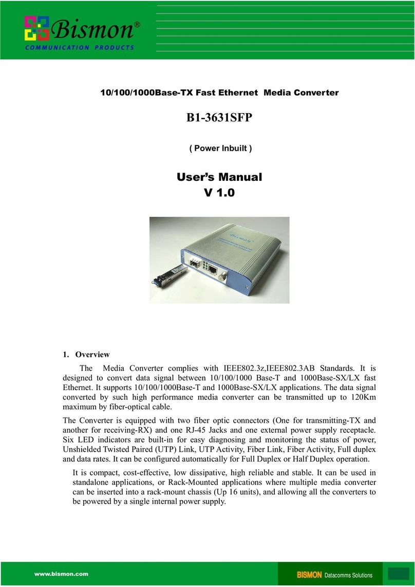 Bismon B1-3631SFP user manual
