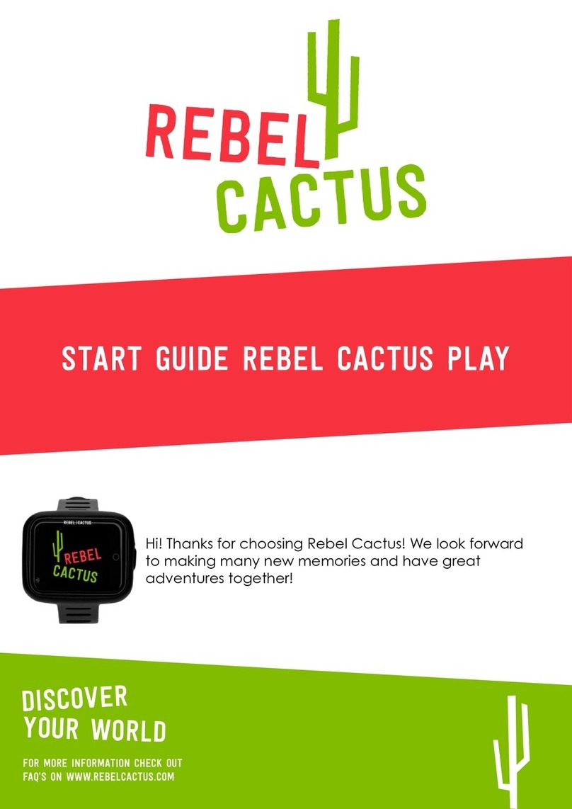 Rebel cactus PLAY Start guide