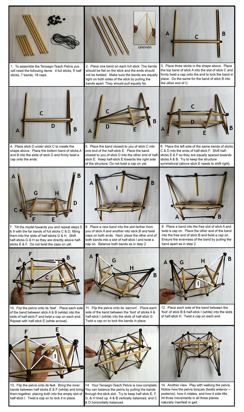 Tensegri-Teach Pelvis User manual
