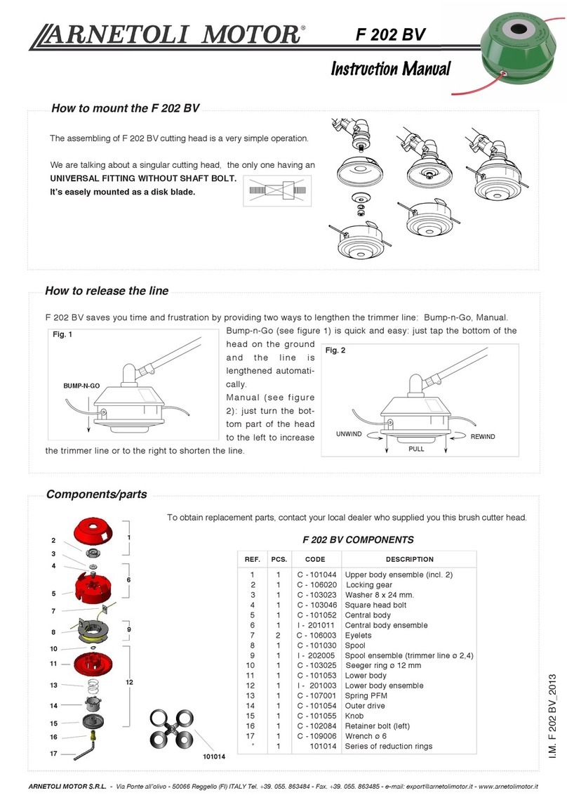 ARNETOLI MOTOR F 202 BV User manual