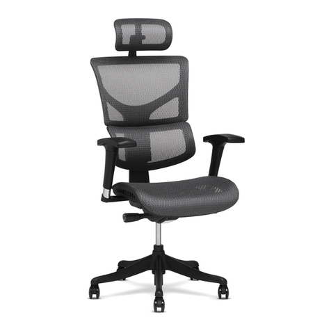 X-CHAIR X1 Assembly Instructions and Adjustment Guide X-CHAIR X1 Assembly Instructions and Adjustment Guide