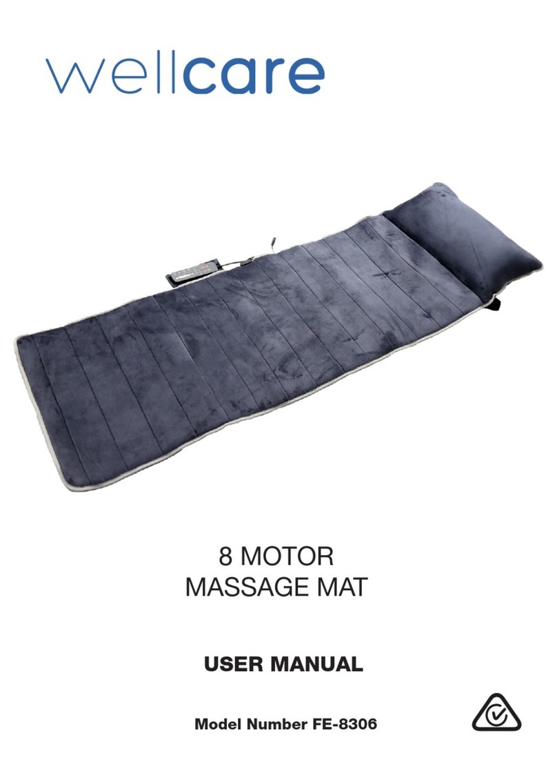 Wellcare FE-8306 user manual
