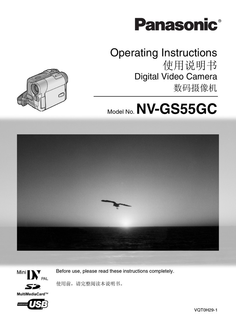 Panasonic NV-GS55GC-S User manual