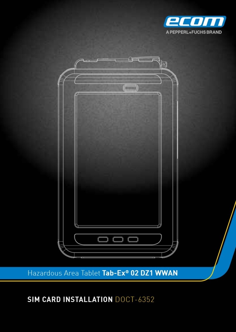 Pepperl+Fuchs ecom Tab-Ex 02 DZ1 WWAN Installation