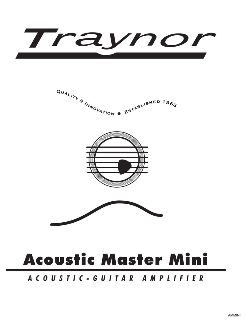 Traynor Acoustic Master Mini User manual