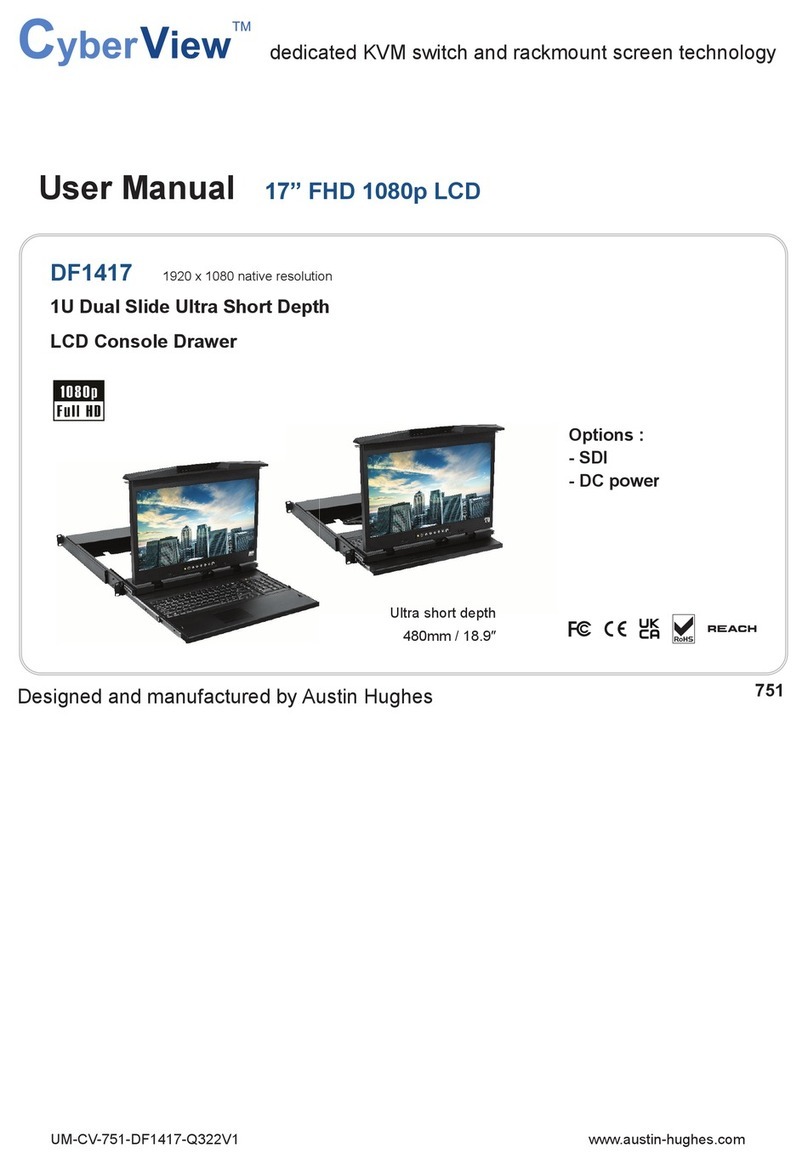 CyberView DF1417 User manual