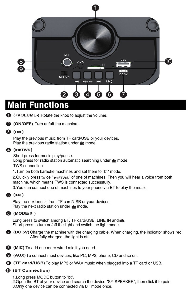 VeGue VS-0503 manual