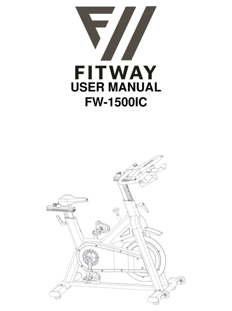 FITWAY FW-1500IC user manual