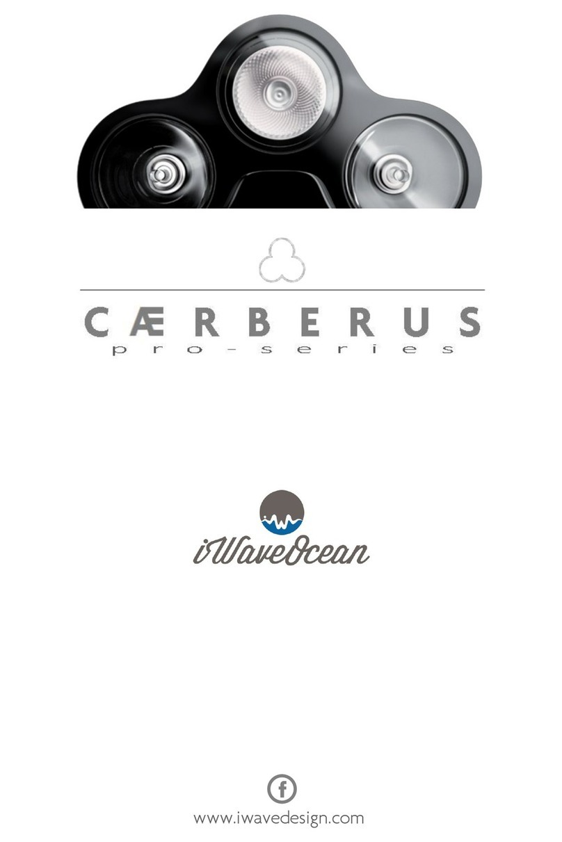 iWaveOcean Pro Series manual