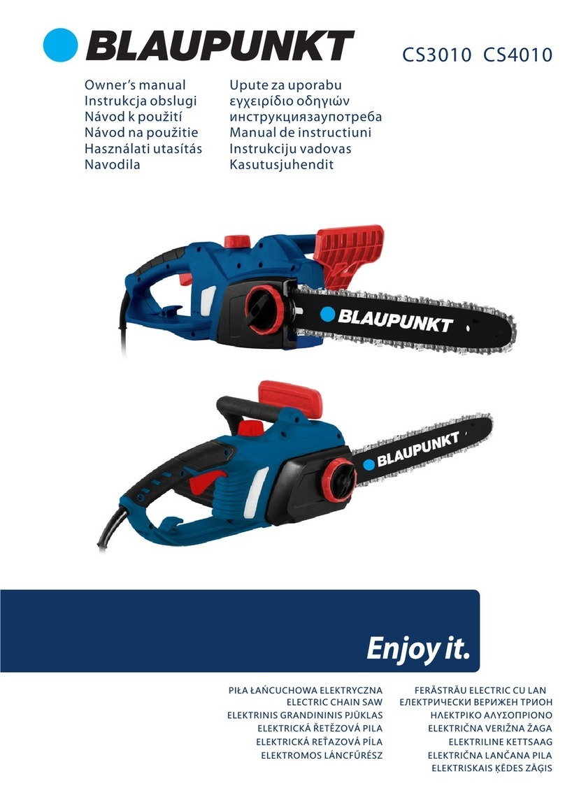 Blaupunkt CS3010 User manual