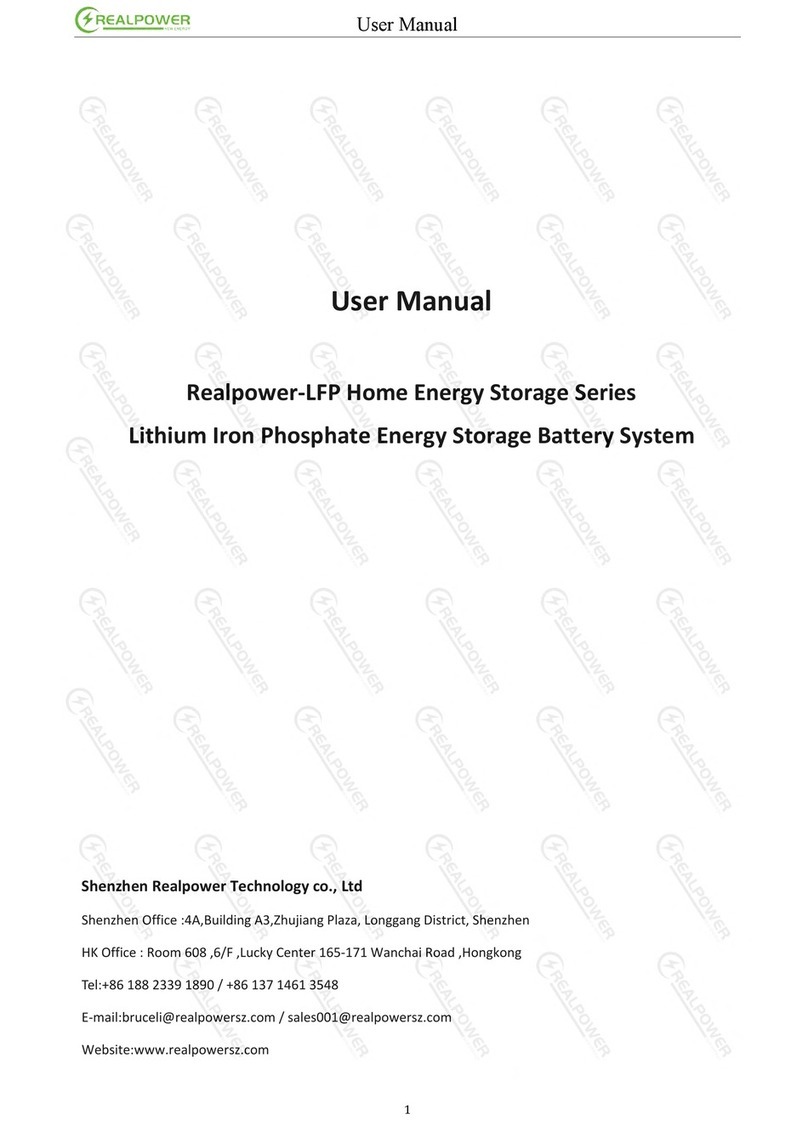 Real Power RP-LFP48 Series user manual