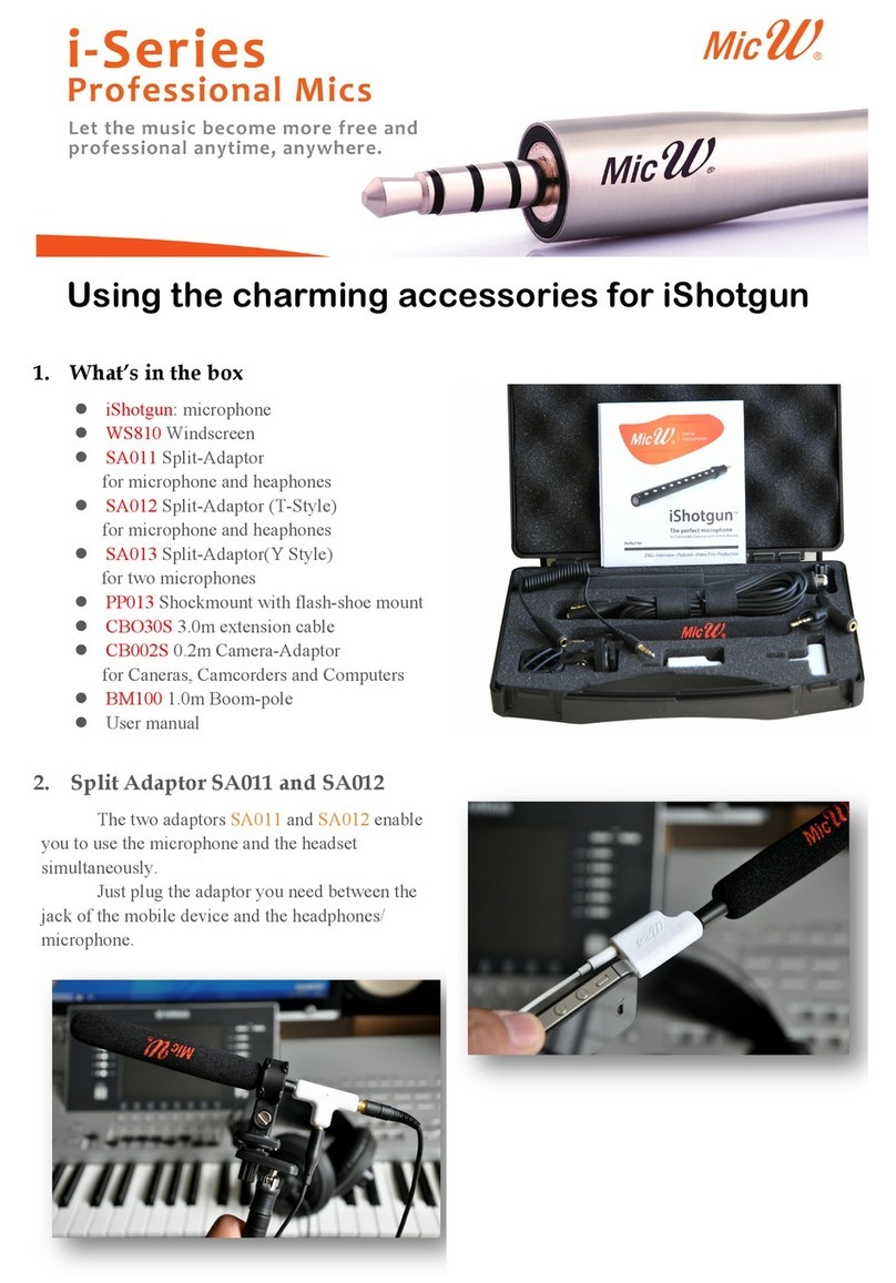 MicW Audio i Series User manual