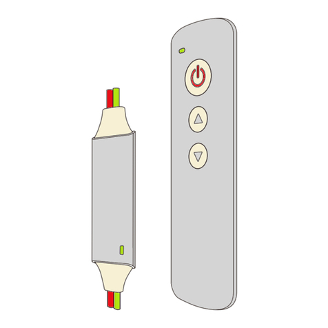 Rayrun P12 User manual
